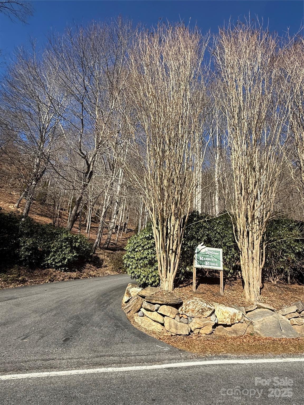 Lot 12 Bernies Trail Waynesville NC 28785
