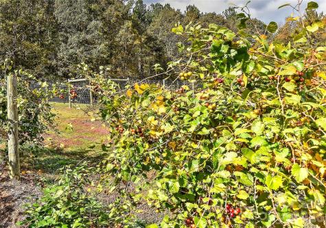 153 Badenyon Place Union Grove NC 28689