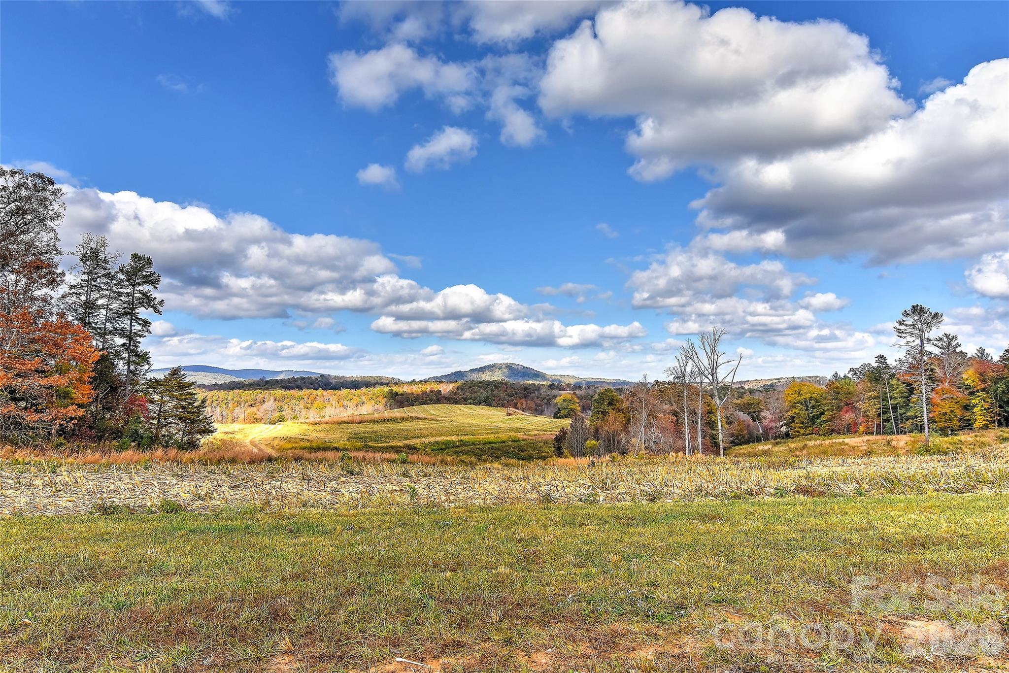 153 Badenyon Place Union Grove NC 28689