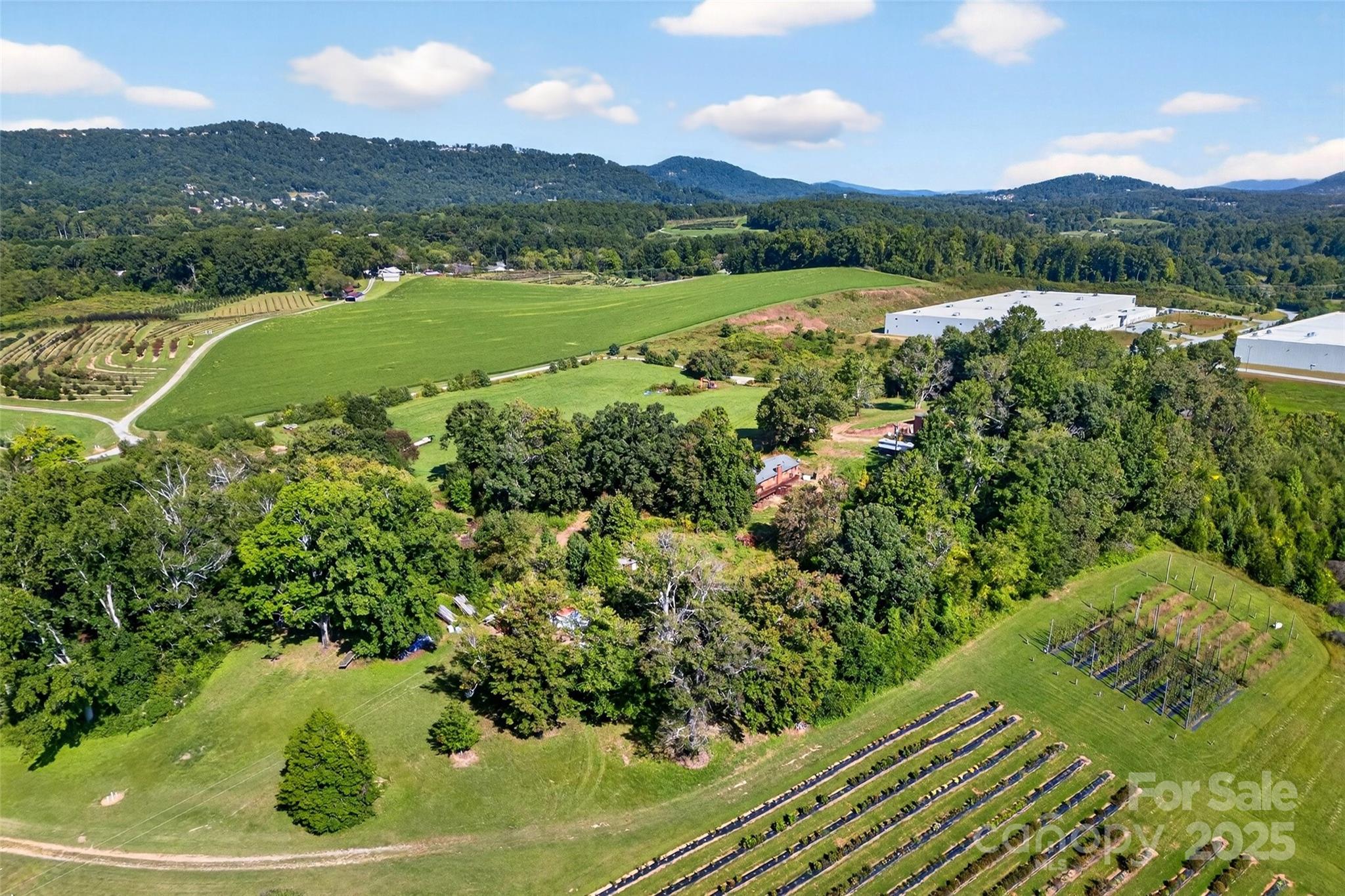 467 Butler Farm Road Mills River NC 28759