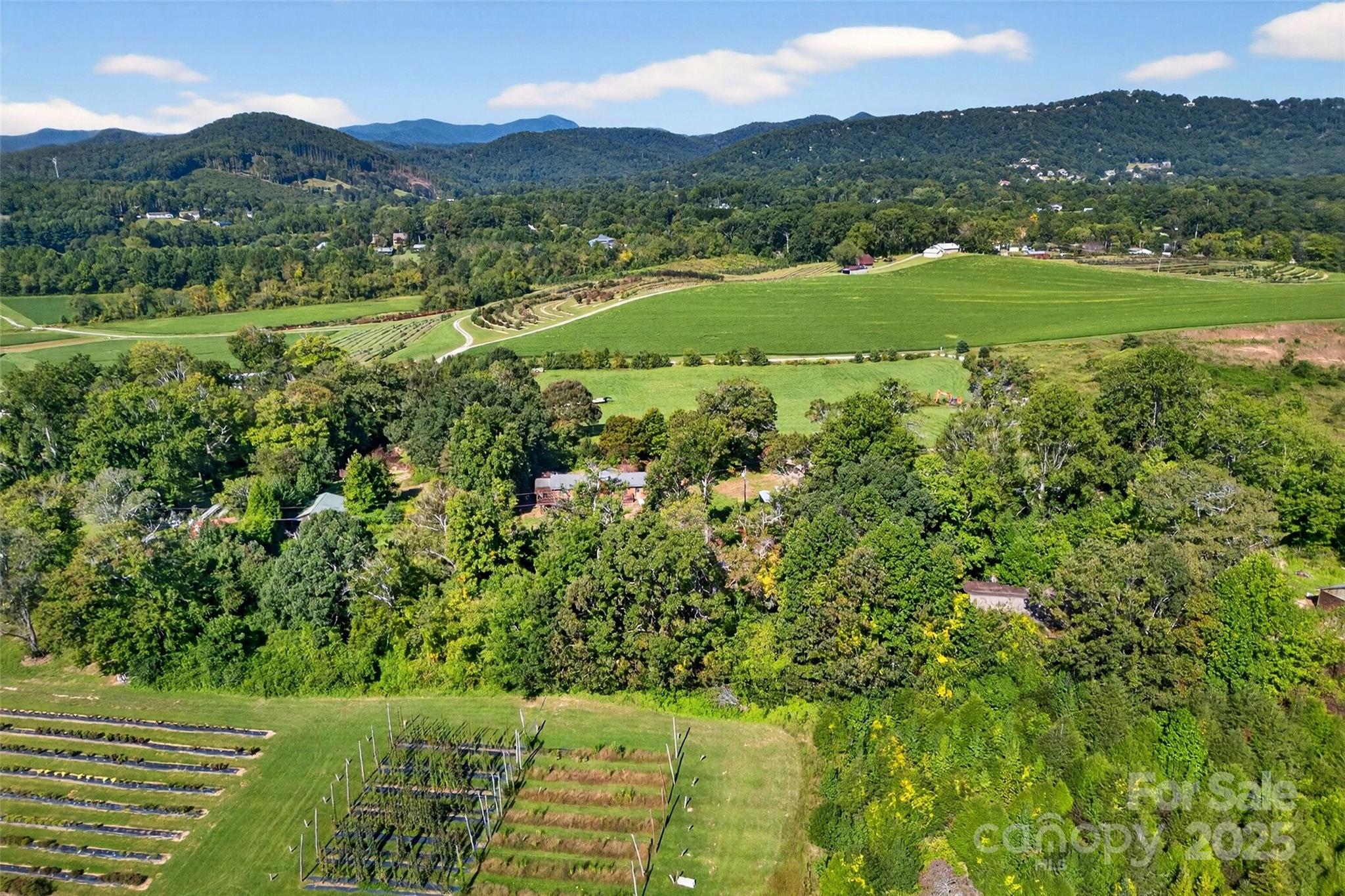 467 Butler Farm Road Mills River NC 28759