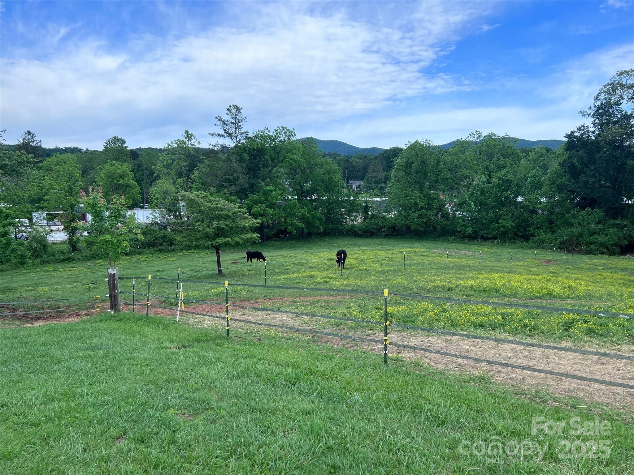 99999 Hamilton Drive Brevard NC 28712