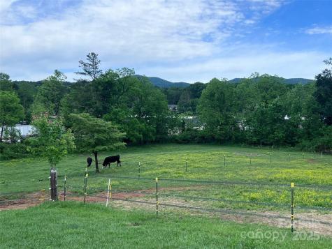 99999 Hamilton Drive Brevard NC 28712