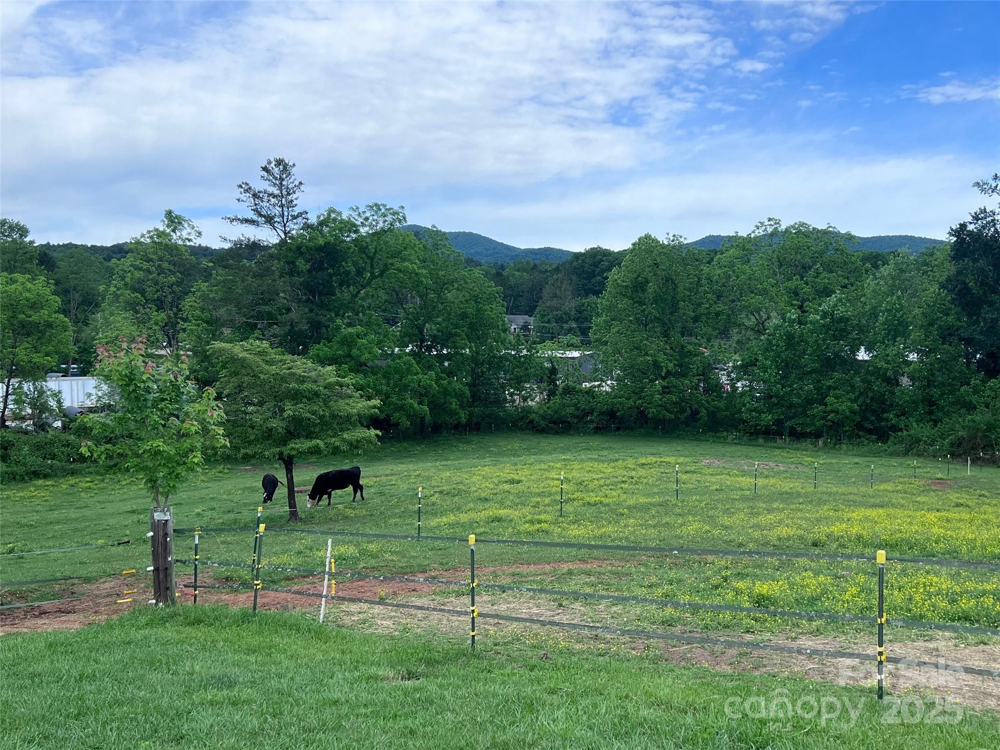 99999 Hamilton Drive Brevard NC 28712