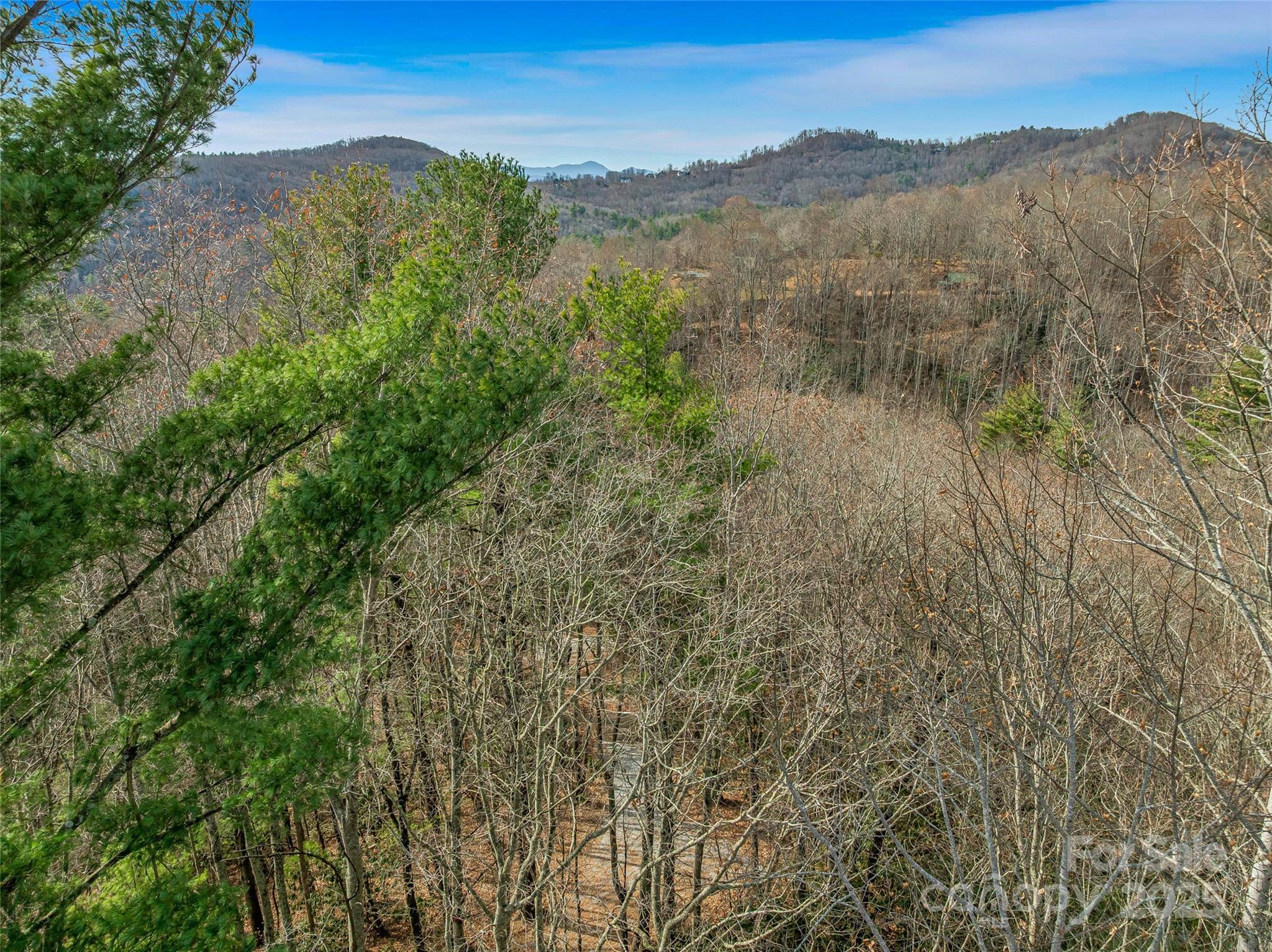 9999-13 Bob Barnwell Road Asheville NC 28803
