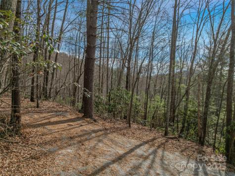 9999-13 Bob Barnwell Road Asheville NC 28803