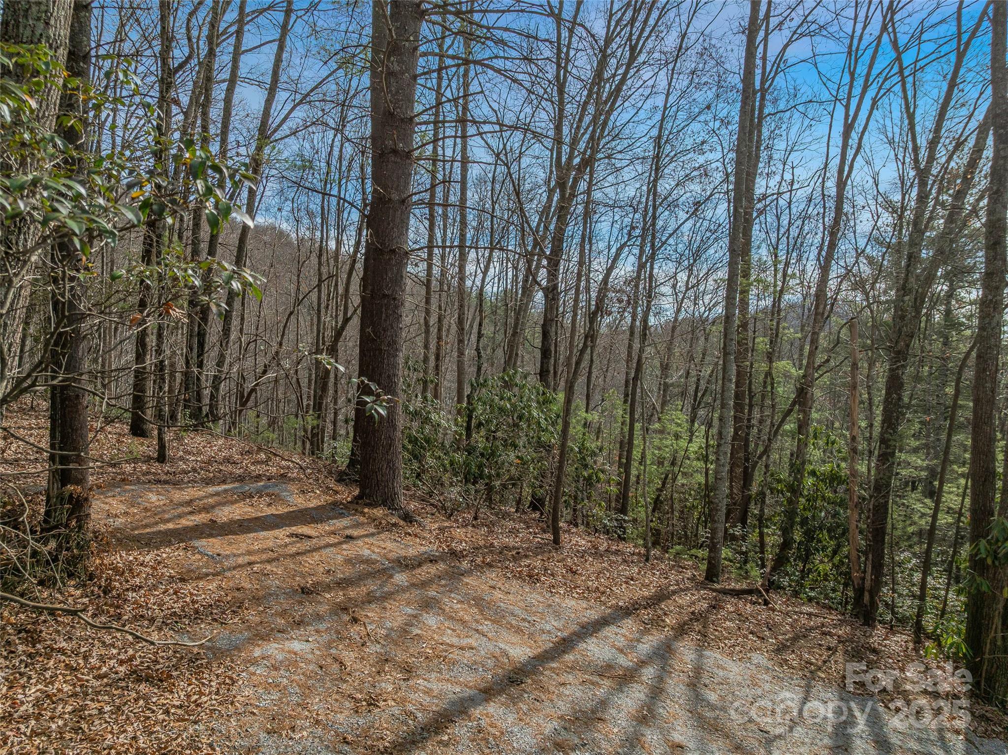 9999-13 Bob Barnwell Road Asheville NC 28803
