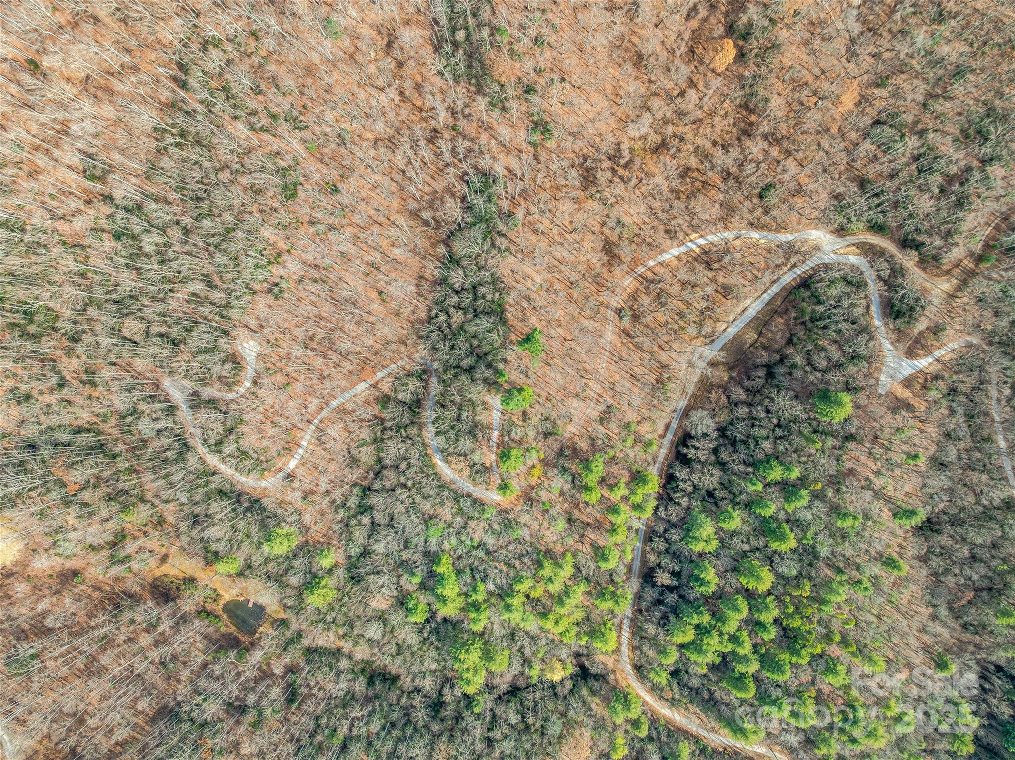 9999-13 Bob Barnwell Road Asheville NC 28803