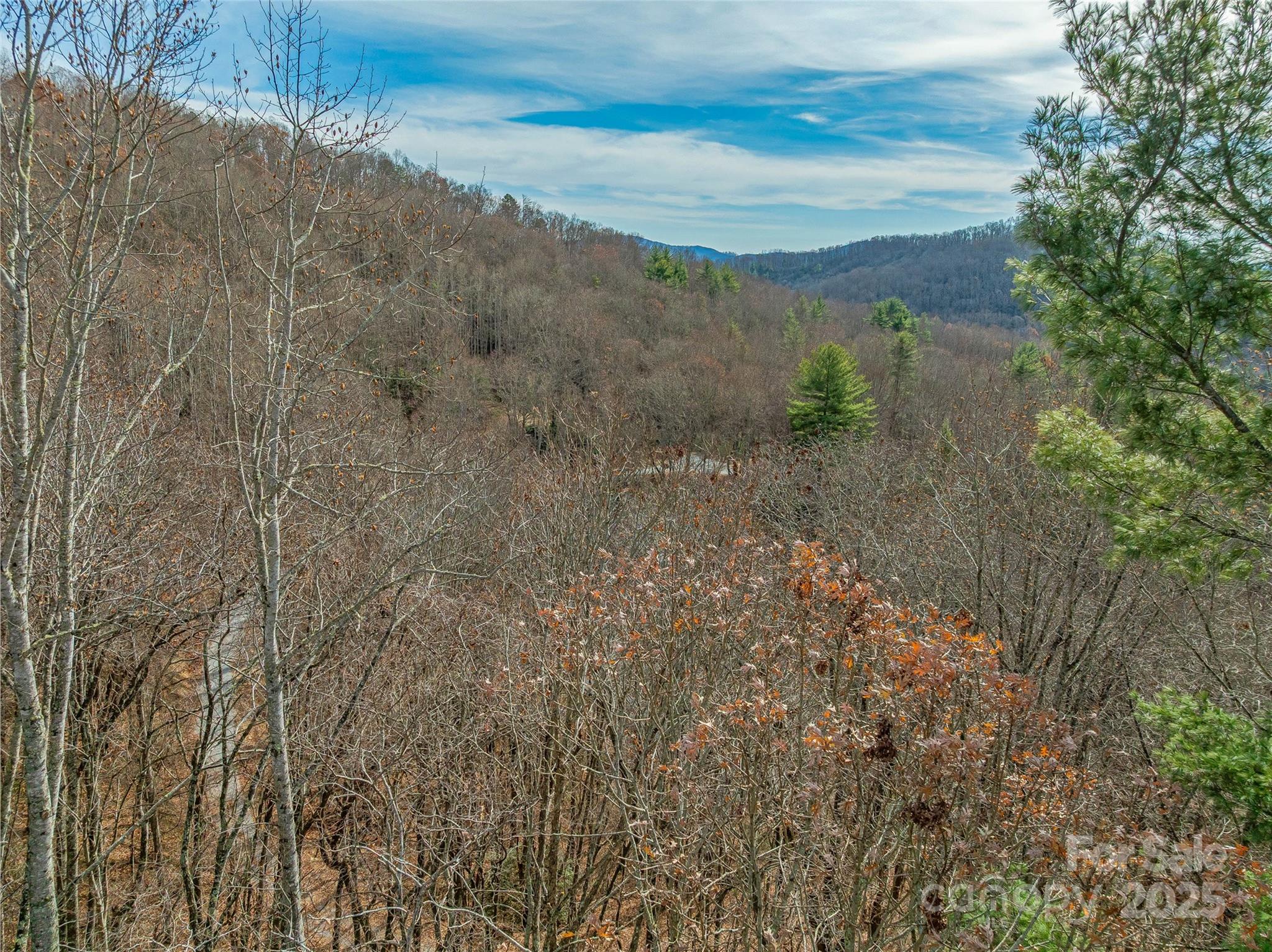 9999-13 Bob Barnwell Road Asheville NC 28803