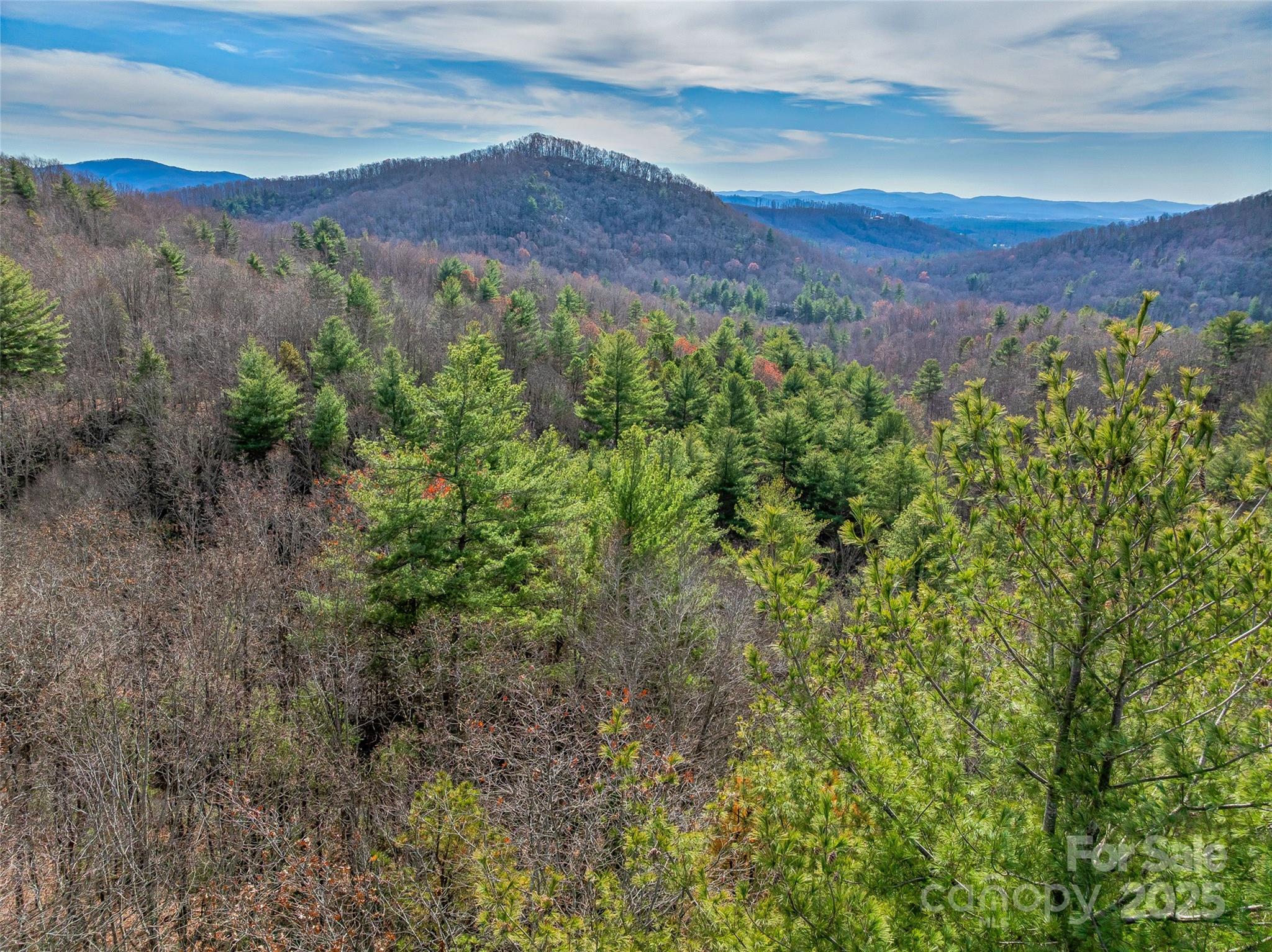 9999-13 Bob Barnwell Road Asheville NC 28803