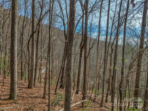 9999-13 Bob Barnwell Road Asheville NC 28803