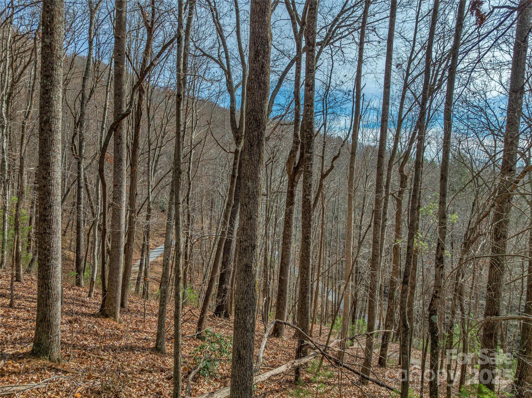 9999-13 Bob Barnwell Road Asheville NC 28803