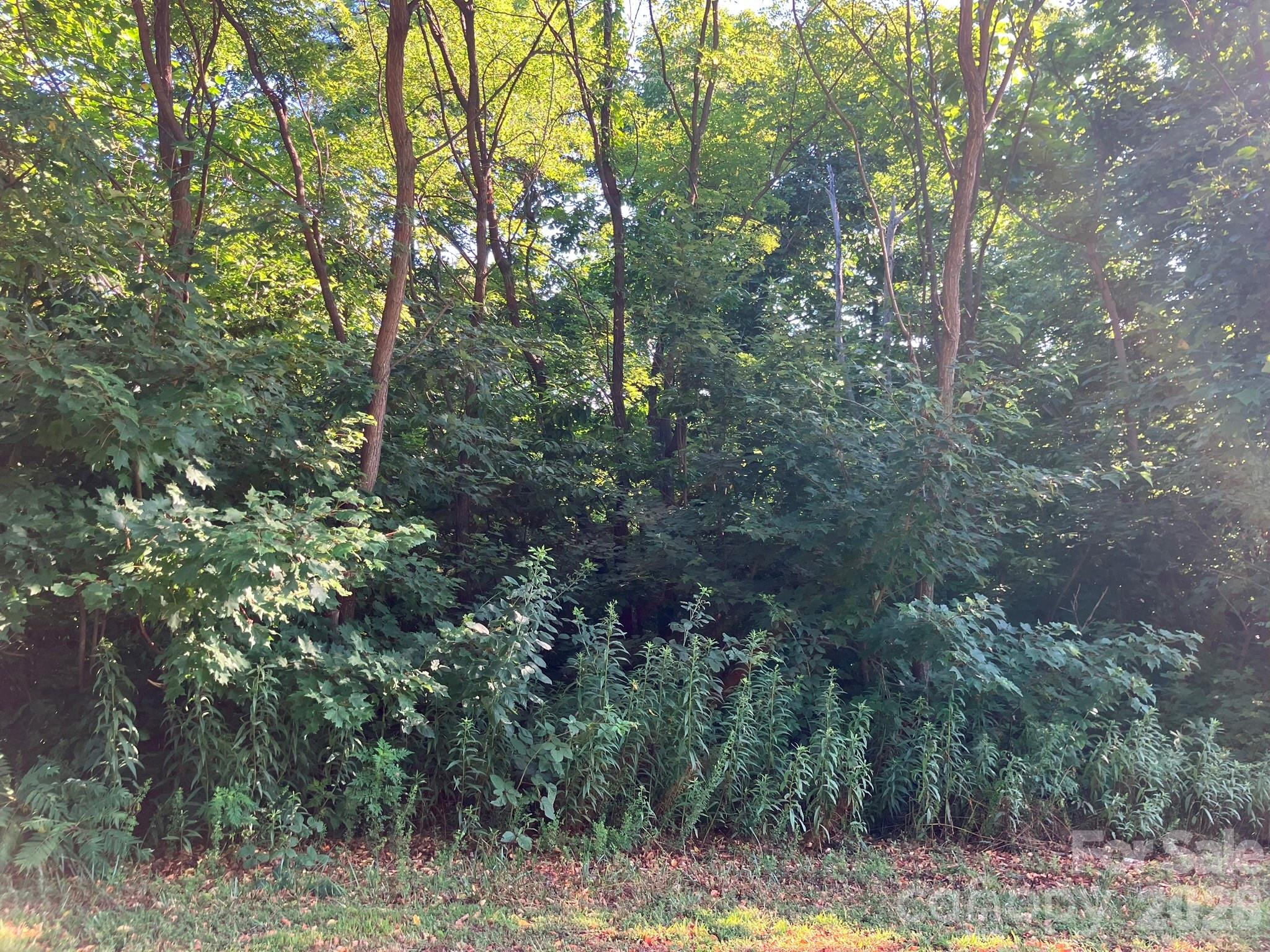 0 Grey Rock Parkway Lake Lure NC 28746