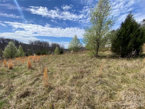 0 Coxe Road Rutherfordton NC 28139