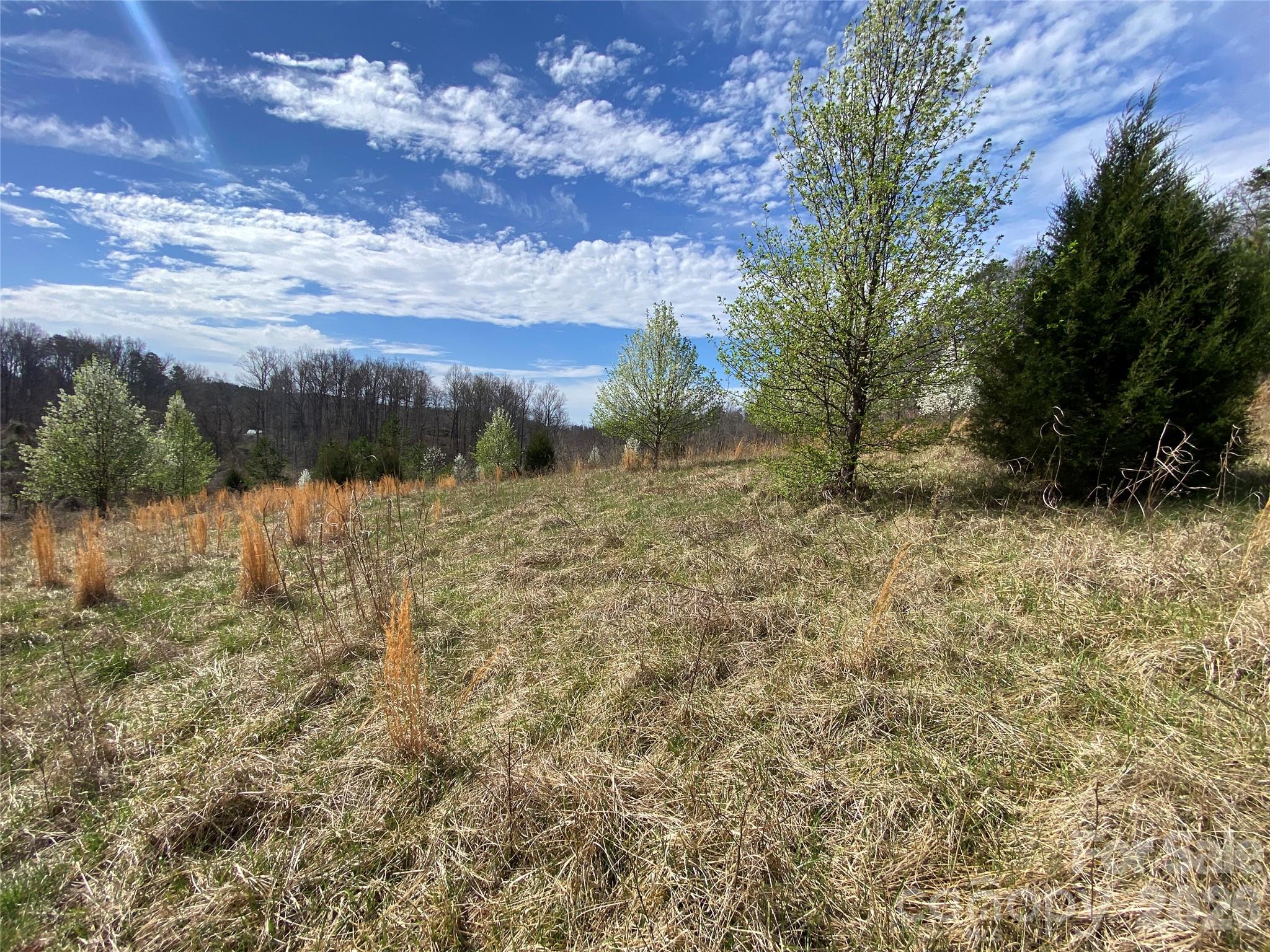 0 Coxe Road Rutherfordton NC 28139