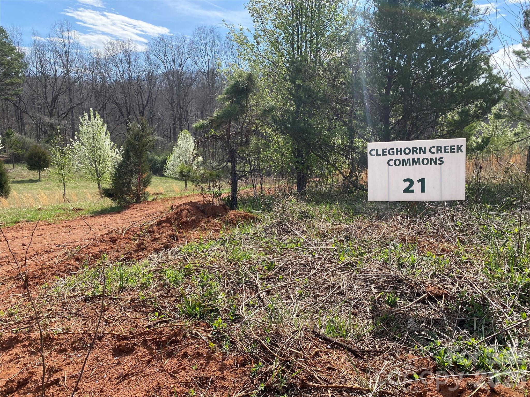 0 Coxe Road Rutherfordton NC 28139