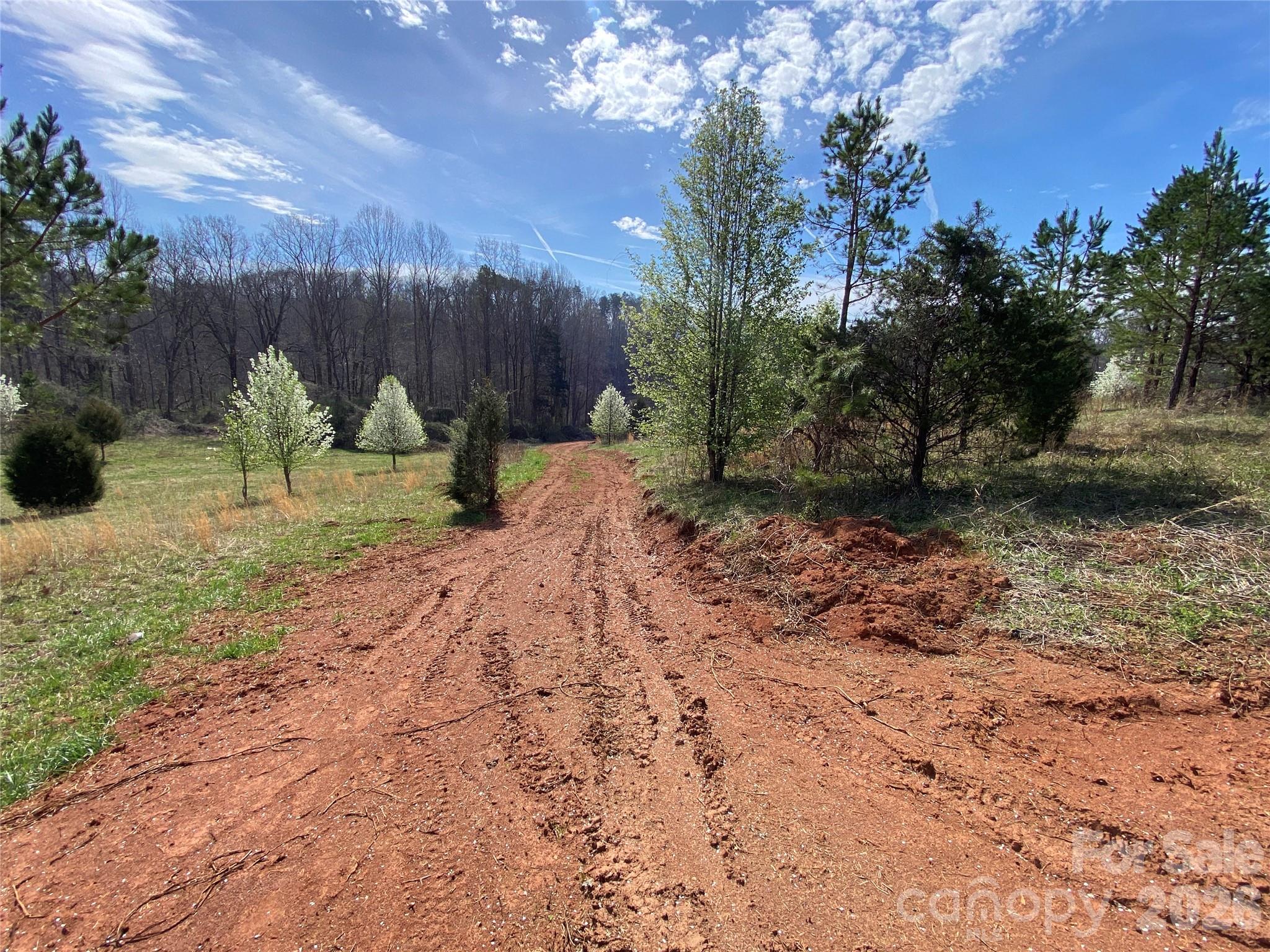 0 Coxe Road Rutherfordton NC 28139