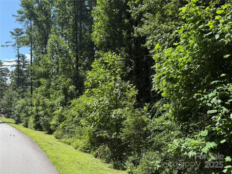 Lot 37 Mountain Brook Trail Brevard NC 28712