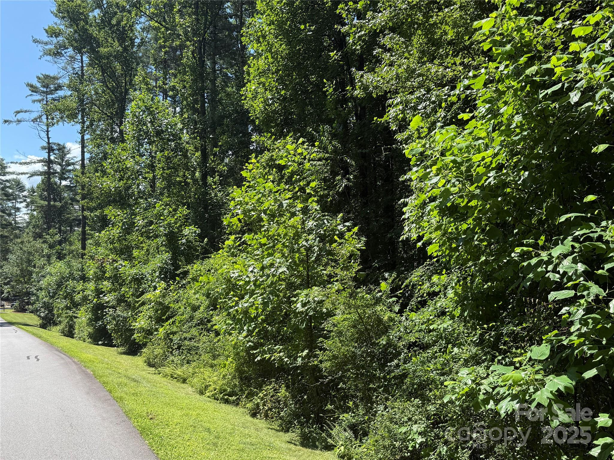 Lot 37 Mountain Brook Trail Brevard NC 28712