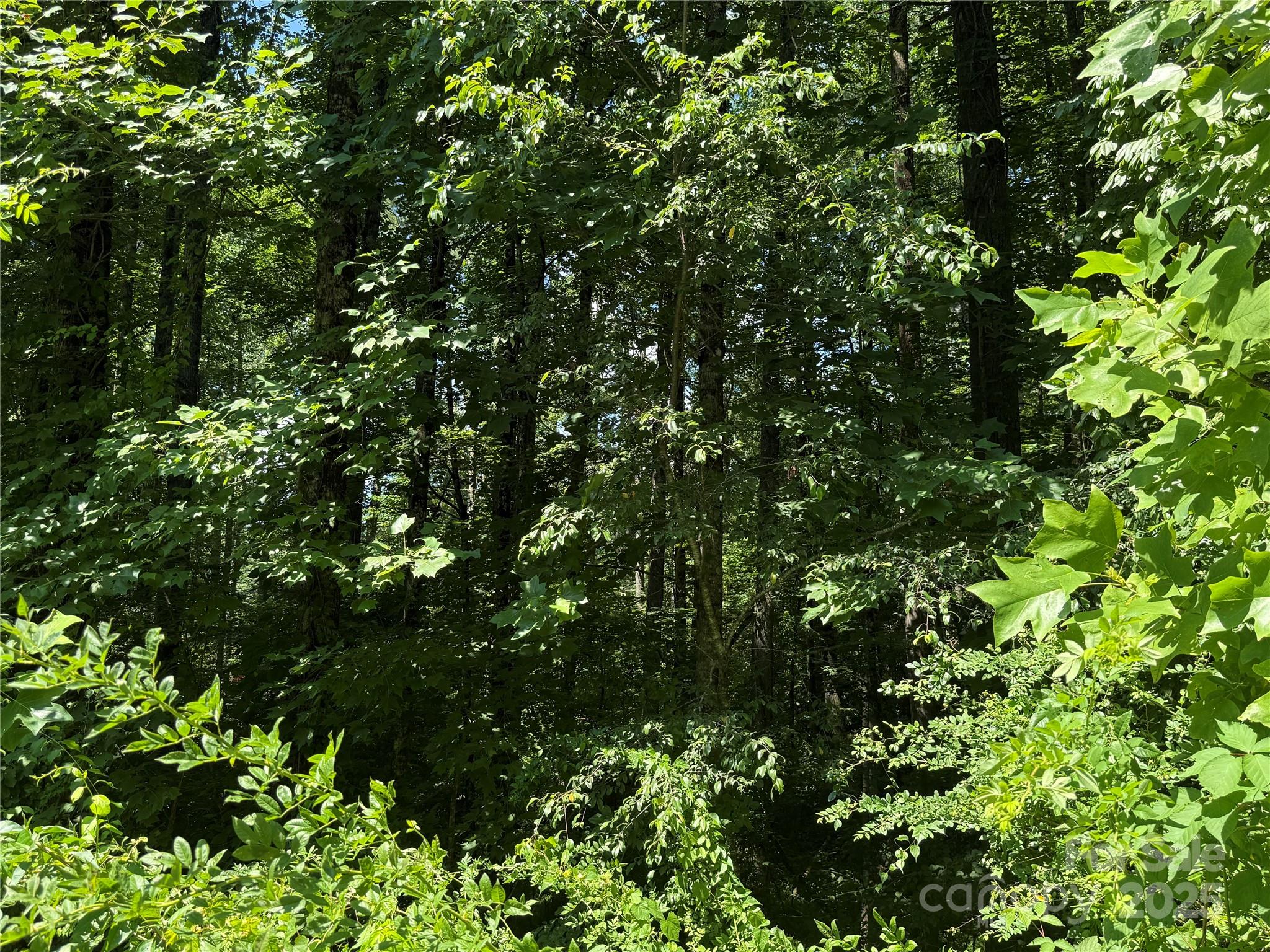 Lot 37 Mountain Brook Trail Brevard NC 28712