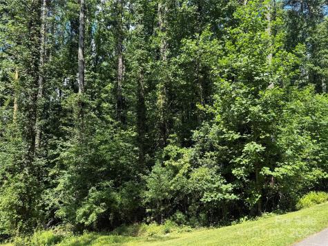 Lot 37 Mountain Brook Trail Brevard NC 28712