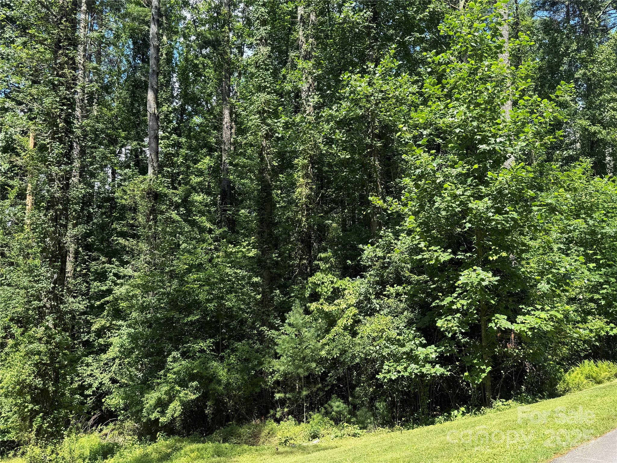Lot 37 Mountain Brook Trail Brevard NC 28712