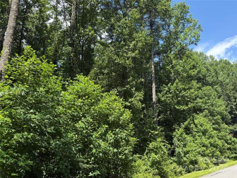 Lot 37 Mountain Brook Trail Brevard NC 28712