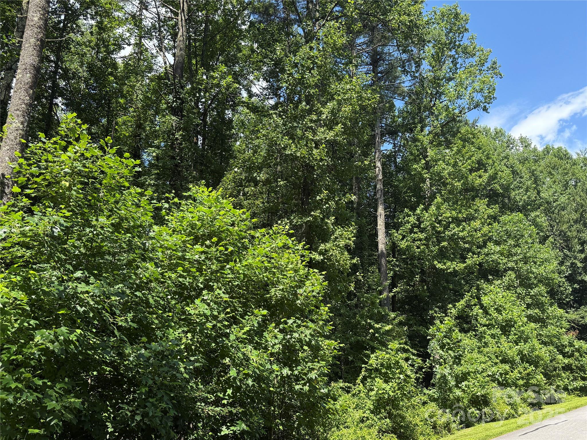 Lot 37 Mountain Brook Trail Brevard NC 28712