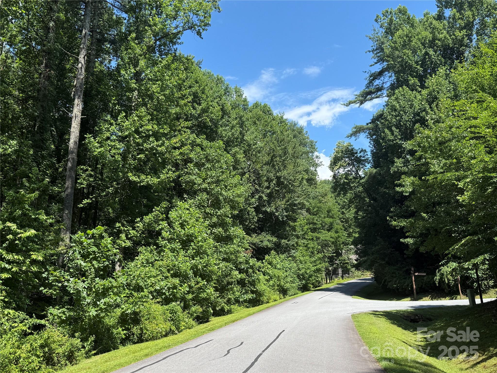 Lot 37 Mountain Brook Trail Brevard NC 28712