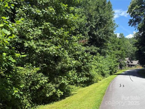 Lot 37 Mountain Brook Trail Brevard NC 28712
