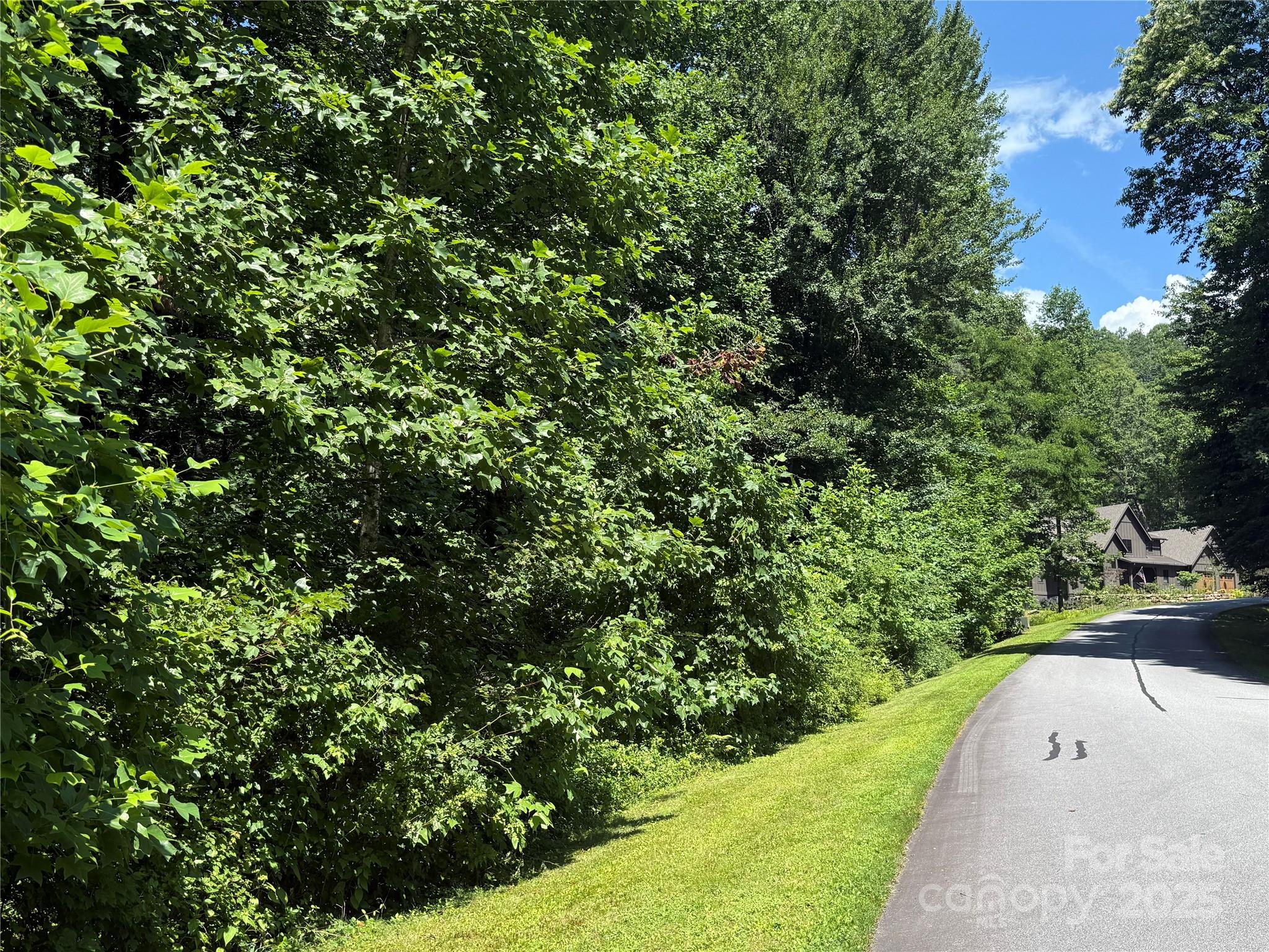 Lot 37 Mountain Brook Trail Brevard NC 28712
