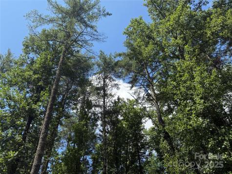 Lot 37 Mountain Brook Trail Brevard NC 28712
