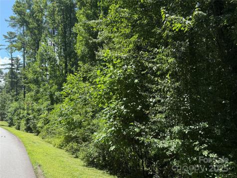 Lot 37 Mountain Brook Trail Brevard NC 28712