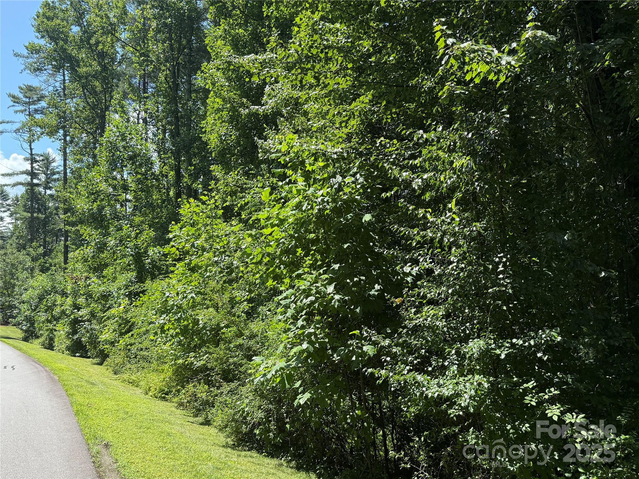 Lot 37 Mountain Brook Trail Brevard NC 28712