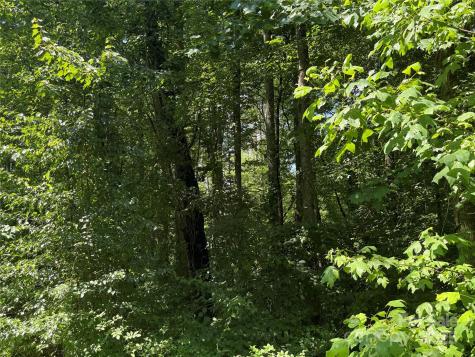 Lot 37 Mountain Brook Trail Brevard NC 28712