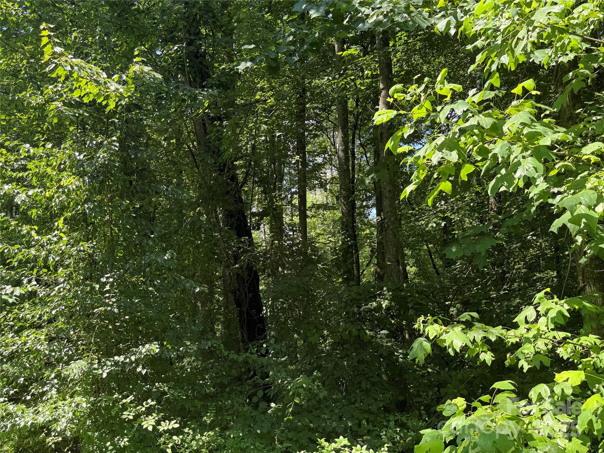 Lot 37 Mountain Brook Trail Brevard NC 28712