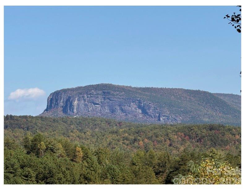 Lot #4 Pisgah Preserve Drive Nebo NC 28761