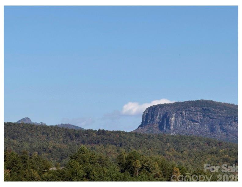 Lot #4 Pisgah Preserve Drive Nebo NC 28761