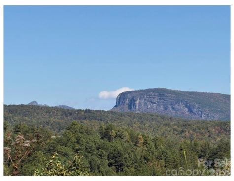 Lot #4 Pisgah Preserve Drive Nebo NC 28761