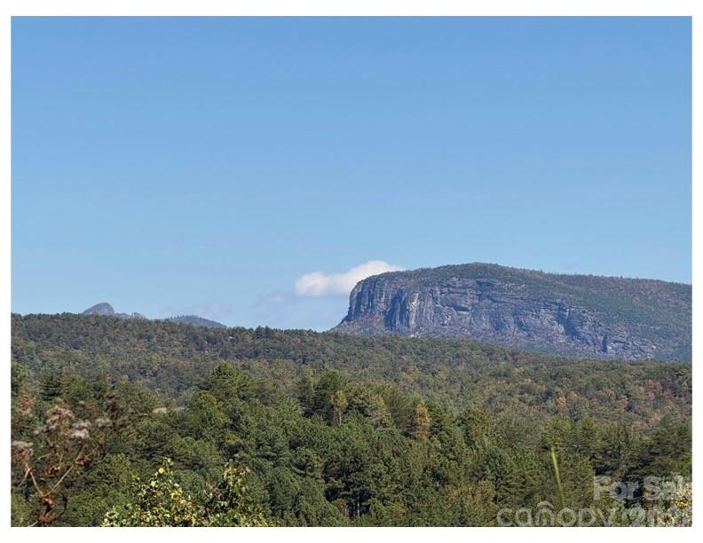 Lot #4 Pisgah Preserve Drive Nebo NC 28761
