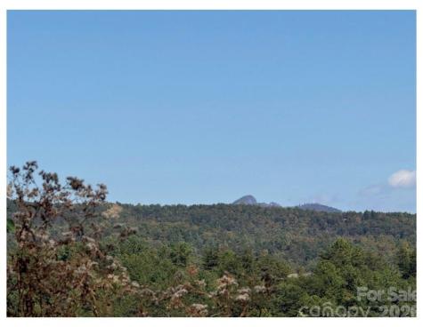Lot #4 Pisgah Preserve Drive Nebo NC 28761