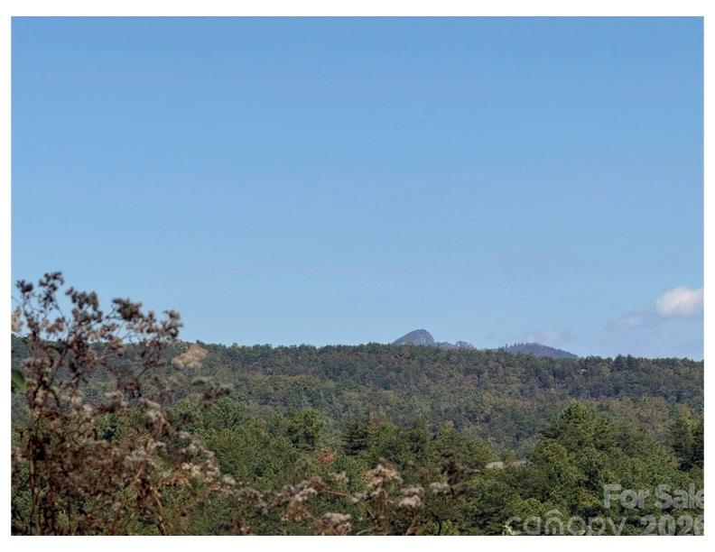 Lot #4 Pisgah Preserve Drive Nebo NC 28761