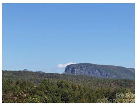 Lot #4 Pisgah Preserve Drive Nebo NC 28761