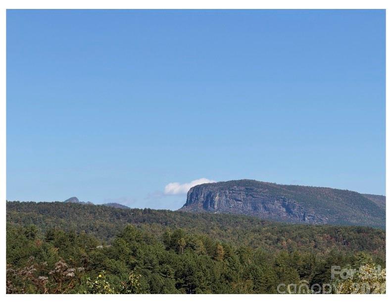 Lot #4 Pisgah Preserve Drive Nebo NC 28761