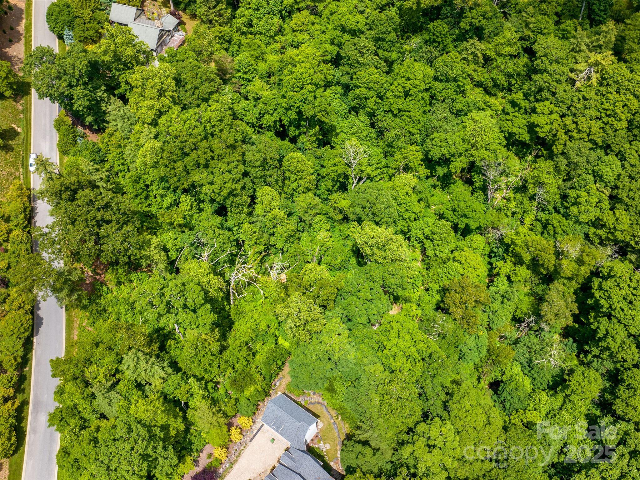 209 Senator Reynolds Road Asheville NC 28804