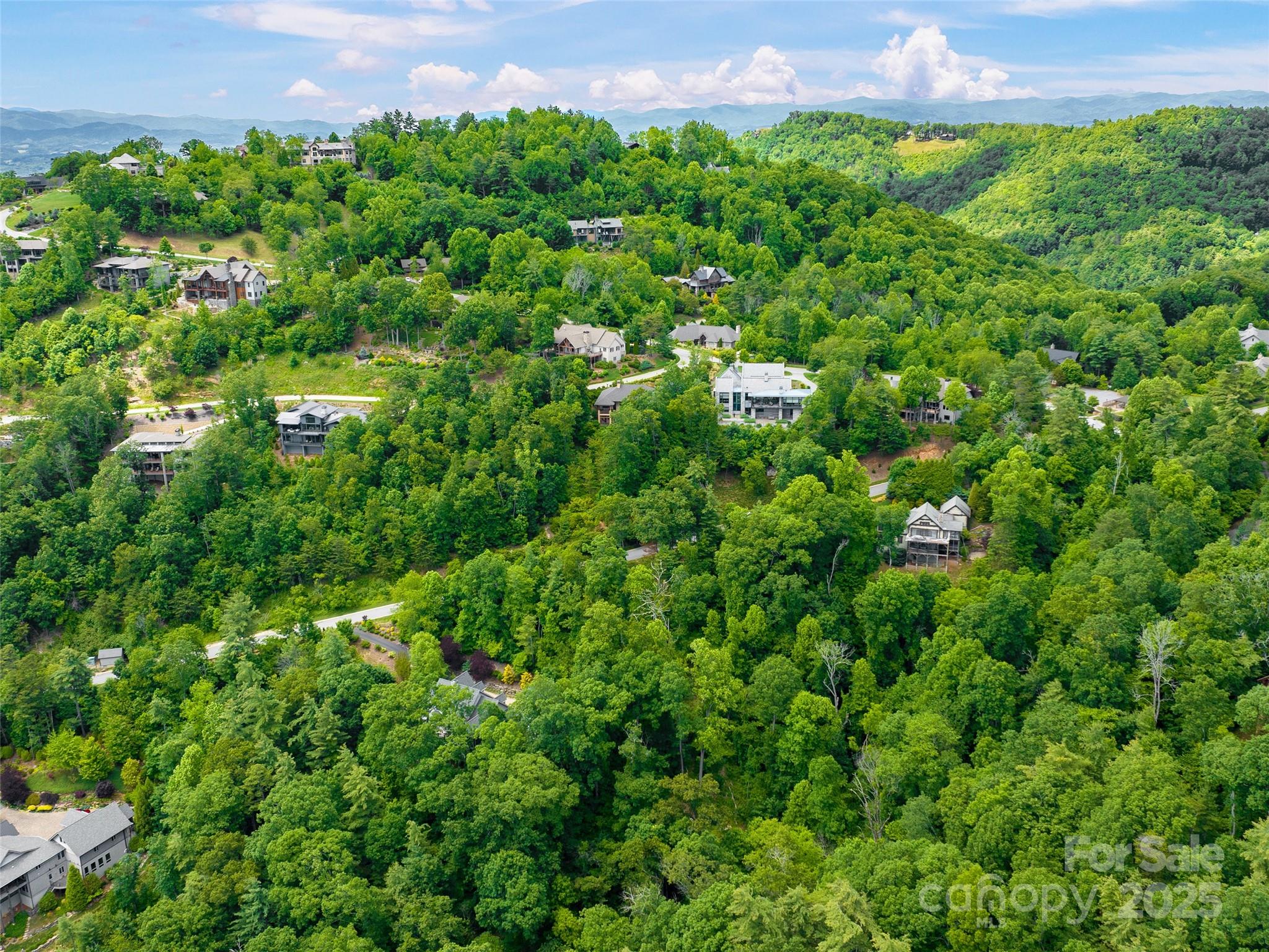 209 Senator Reynolds Road Asheville NC 28804