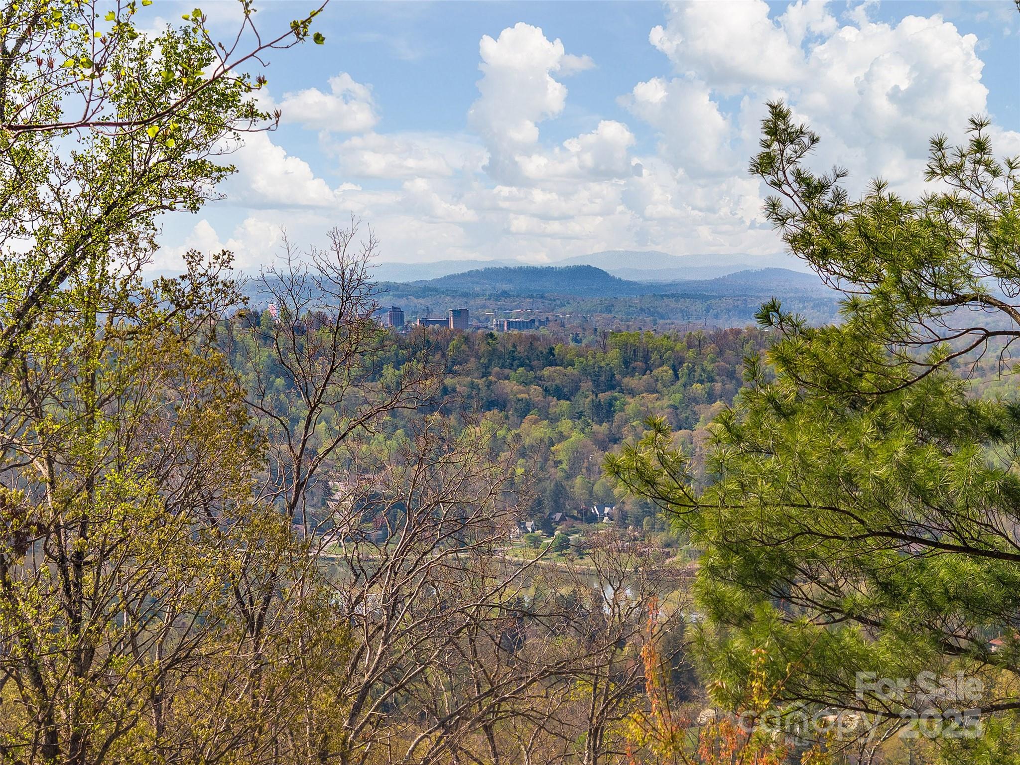 209 Senator Reynolds Road Asheville NC 28804