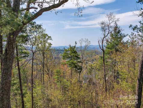 209 Senator Reynolds Road Asheville NC 28804