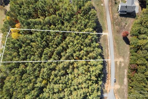 0 Palisade Drive Rutherfordton NC 28139