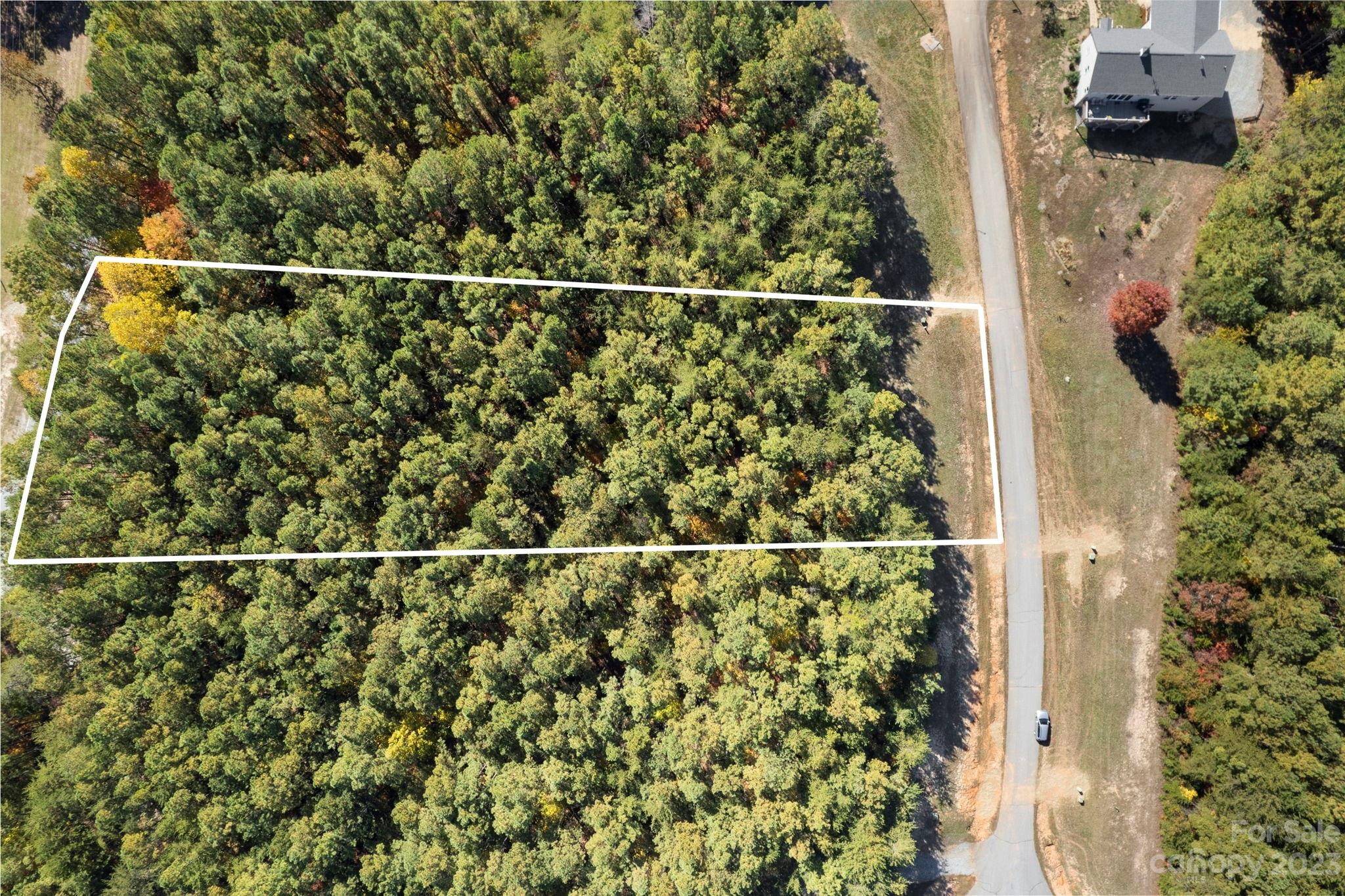 0 Palisade Drive Rutherfordton NC 28139